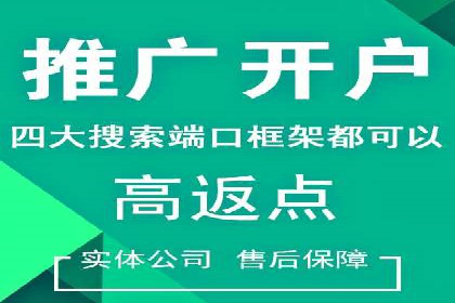 成功SEM推广代运营案例分享